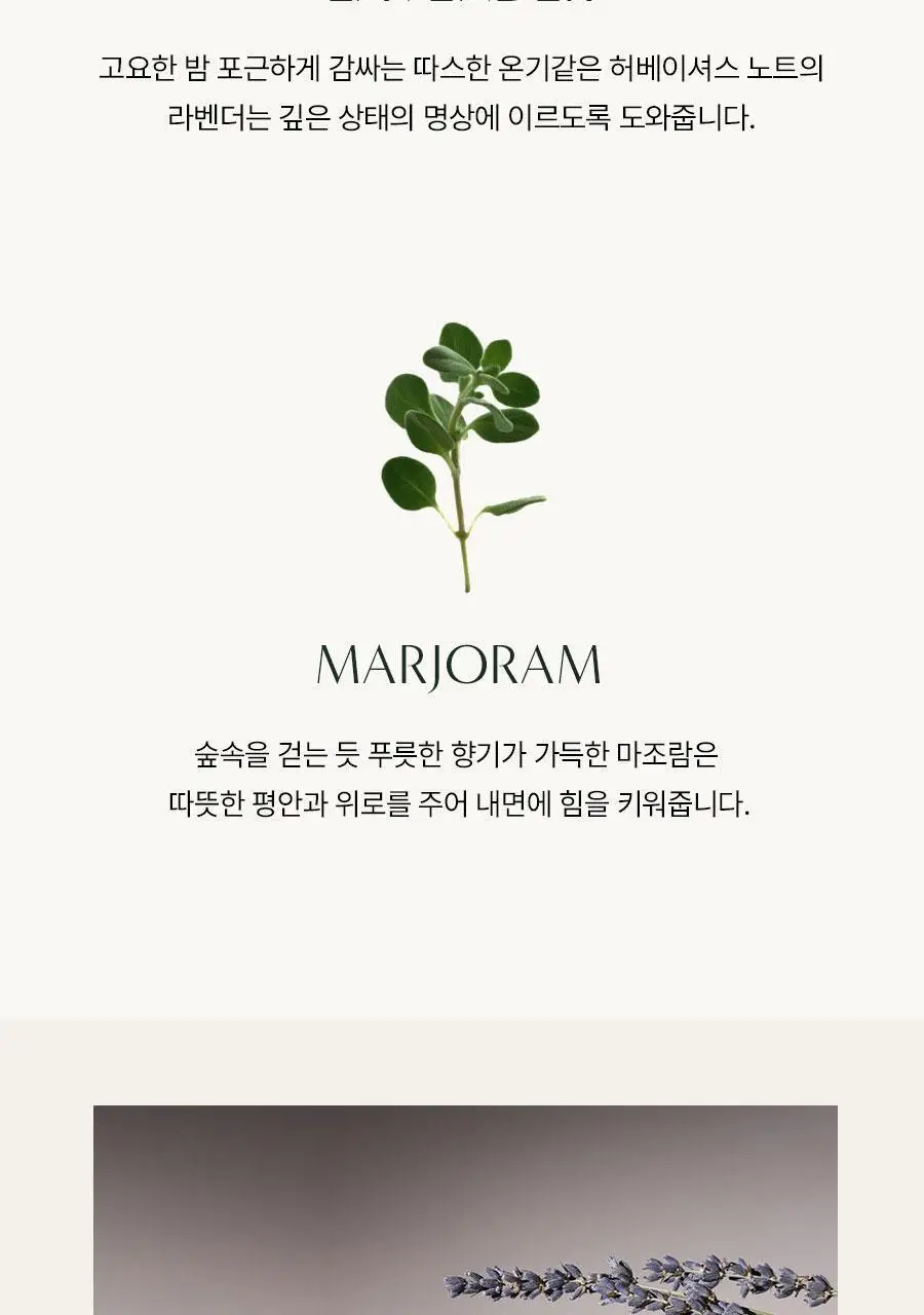 [NEW/대용량] 아로마티카 바디워시 500ml 2종 중 택 1 (서렌/로즈마리 올인원) 상세페이지 4